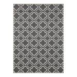 Tapis Rouillon Polypropylène - Gris - 160 x 220 cm