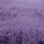Hochflorteppich Cozy Uni Kunstfaser - Violett - 190 x 290 cm
