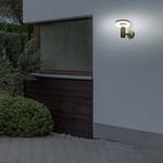 LED-Buitenwandlamp Paddenstoel silicone/roestvrij staal - 1 lichtbron