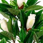 Plante artificielle Magnolia Matière plastique - Vert