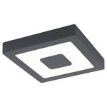 LED-Deckenleuchte Iphias Polycarbonat / Aluminium - 1-flammig