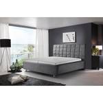 Gestellbett Valdrome Silber - 180 x 200cm