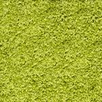 Fußmatte Verdi Polyamid - Hellgrün - 90 x 150 cm