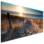 Wandbild Sunset Path Leinwand - Mehrfarbig - 135 x 45 cm