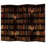 Paravent Bookshelves Vlies auf Massivholz - Mehrfarbig - 5-teilig