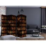 Paravent Bookshelves Vlies auf Massivholz - Mehrfarbig - 5-teilig