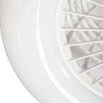 Plafonnier ventilateur Lani Polycarbonate - 1 ampoule