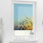Verduisteringsrolgordijn Paardenbloem polyester - blauw - 100 x 150 cm
