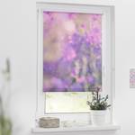 Klemmfix Verdunklungsrollo Blumenwiese Polyester - Fuchsia / Violett - 120 x 150 cm