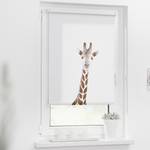 Klemfix rolgordijn Giraf polyester - bruin - 45 x 150 cm