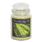 Bougie parfumée Lemongrass & Ginger Cire de paraffine - Vert - 565 g