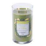 Bougie parfumée Cedar & Citrus Mélange de cire de soja - Vert - 538 g