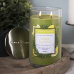 Bougie parfumée Cedar & Citrus Mélange de cire de soja - Vert - 538 g