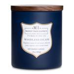 Bougie parfumée Woodland Escape Mélange de cire de soja - Bleu - 425 g - Diamètre : 10 cm