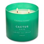 Bougie parfumée Cactus Rain Mélange de cire de soja - Vert - 411 g