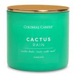 Bougie parfumée Cactus Rain Mélange de cire de soja - Vert - 411 g