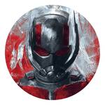 Fotomurale Avengers Ant-Man Tessuto non tessuto - Rosso