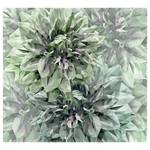Vlies-fotobehang Emerald Flowers vlies - meerdere kleuren