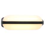 LED-wandlamp Buitenlampen II acrylglas/aluminium - 1 lichtbron