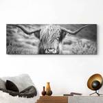 Afbeelding Highlander Stier verwerkt hout - zwart - 156 x 52 x 2 cm