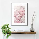 Gerahmtes Bild Pfingstrosen Blumen Holzwerkstoff - Pink - 50 x 70 x 1,6 cm