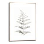 Gerahmtes Bild Farn Natur Holzwerkstoff - Schwarz - 50 x 70 x 1,6 cm