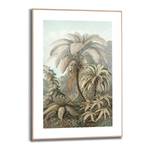 Ingelijste afbeelding Filicina Haeckel verwerkt hout - groen - 50 x 70 x 1,6 cm