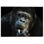 Glasbild Gorilla Affe Glas - Schwarz - 70 x 50 x 2 cm