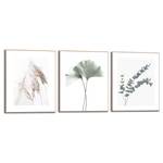 Set afbeeldingen Ginkgo & Eucalyptus verwerkt hout - groen - 40 x 50 x 1,6 cm