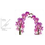 Coprifornelli Fiori di orchidee Vetro - Multicolore