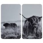 Afdekplaat Highland Cattle (set van 2) glas - meerdere kleuren