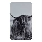 Abdeckplatte Highland Cattle (2er-Set) Glas - Grau