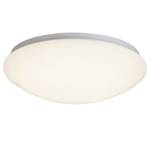 LED-plafondlamp Fakir plexiglas/staal - 1 lichtbron