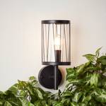 Wandlamp Reed glas/roestvrij staal - 1 lichtbron