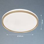 LED-plafondlamp Bellevue acryl/ijzer - 1 lichtbron - Goud