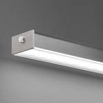 LED-Pendelleuchte Caneva Acryl / Eisen - 2-flammig