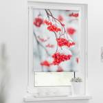 Klemfix-rolgordijn Vogelbesjes polyester - rood/wit - 70 x 150 cm