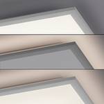 LED-Deckenleuchte Flat II Kunststoff / Aluminium - 2-flammig