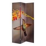 Paravento Twin Parrot vs Cute Colibri Multicolore - Legno massello  / Materiale plastico - 120 x 180 cm
