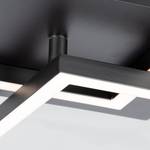 LED-plafondlamp Frame VI polycarbonaat/ijzer - 1 lichtbron