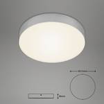 LED-plafondlamp Flame I polycarbonaat/ijzer - 1 lichtbron - Zilver - Diameter: 21 cm