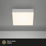 LED-plafondlamp Flame II polycarbonaat/ijzer - 1 lichtbron - Zilver - Breedte: 16 cm