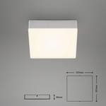 LED-plafondlamp Flame II polycarbonaat/ijzer - 1 lichtbron - Zilver - Breedte: 16 cm