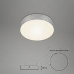 LED-plafondlamp Flame I polycarbonaat/ijzer - 1 lichtbron - Zilver - Diameter: 16 cm