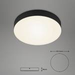 LED-plafondlamp Flame I polycarbonaat/ijzer - 1 lichtbron - Zwart - Diameter: 21 cm