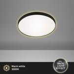 LED-plafondlamp Flet polycarbonaat/ijzer - 1 lichtbron - Zwart - Diameter: 28 cm