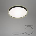 LED-plafondlamp Flet polycarbonaat/ijzer - 1 lichtbron - Zwart - Diameter: 28 cm
