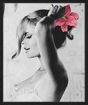 Bild Kate Moss IV Buche massiv / Plexiglas - 53 x 63 cm