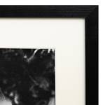 Bild Brigitte Bardot I Buche massiv / Plexiglas - 43 x 53 cm