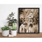 Bild With the dogs Buche massiv / Plexiglas - 43 x 53 cm